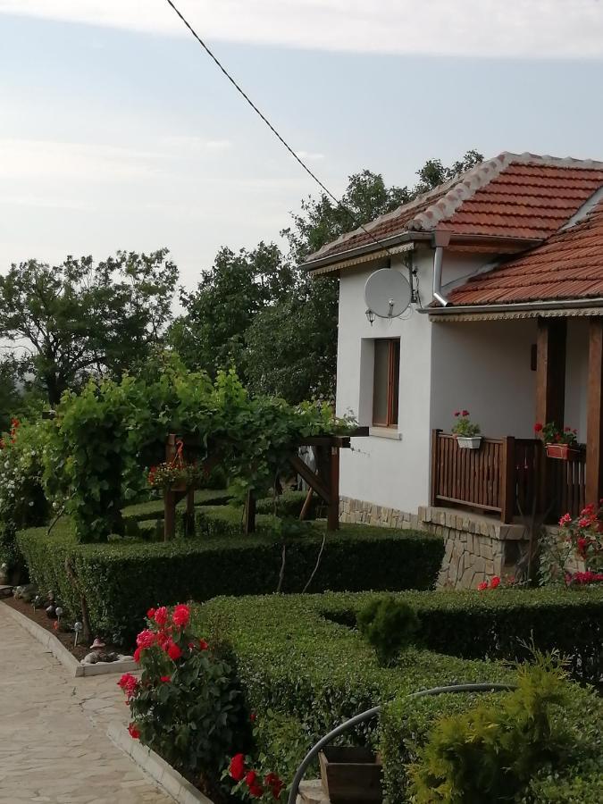 克鲁舒纳 Krushunska Panorama酒店 外观 照片