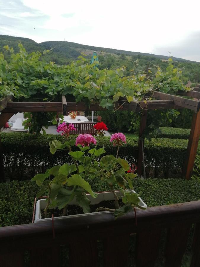 克鲁舒纳 Krushunska Panorama酒店 外观 照片